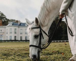 eine Person, die ein weißes Pferd auf einem Feld hält in der Unterkunft Hôtel Chateau de Maffliers - Demeures de Campagne in Maffliers