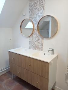 y baño con lavabo y espejo. en Gîte Auverg'Nature, en Espinasse