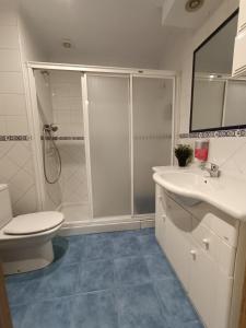 y baño con ducha, aseo y lavamanos. en Habitaciones Javier LVI 0006, en Vitoria-Gasteiz