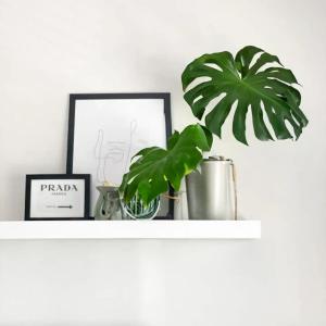 a shelf with a potted plant and a picture at Deluxe 2 Bed by Buckingham Palace in London