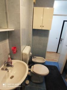 uma casa de banho com um WC e um lavatório em Apartman Viktor Sarajevo em Sarajevo