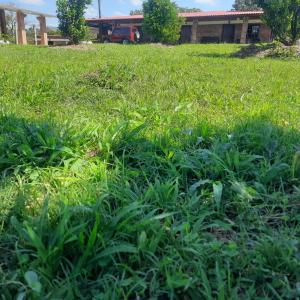 Gallery image of Hacienda Rosa Franca in Santana +23 photos