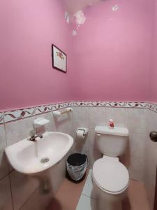 une salle de bains rose avec toilettes et lavabo. dans l'établissement Amplio y cómodo departamento con garage, à Puyo