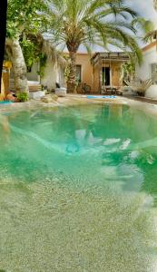 una piscina con agua azul y palmeras en Casa Klod Ibiza, en Ibiza