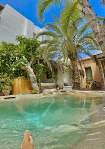 a person laying in a swimming pool with palm trees at Casa Klod Ibiza in Ibiza Town