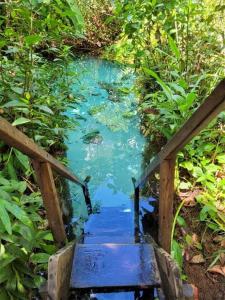 a stairway leading down to a stream of blue water at Pousada Capim Dourado Jalapão São Felix TO in São Félix do Tocantins