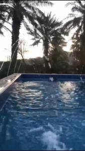 a swimming pool with palm trees in the background at شاليه نزل أمنة in Sīdī Ḩamzah