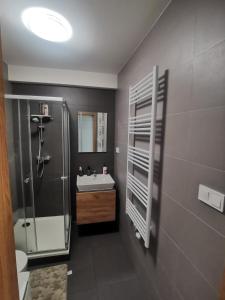 a bathroom with a sink and a shower and a toilet at Rezidencia Albelli in Košice