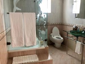 a bathroom with a toilet and a shower with a glass door at Casa Blanca in La Vega