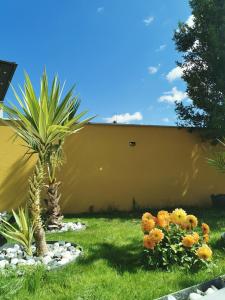 einen Garten mit einer Palme und ein paar Blumen in der Unterkunft Villa au porte de montchat Lyon in Bron