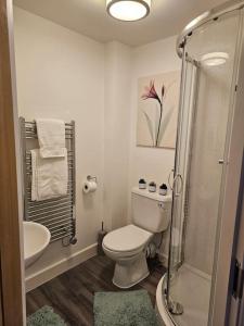 a bathroom with a toilet and a sink and a shower at ZenZone Studio Flat in Preston