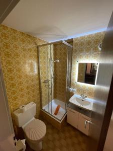 La salle de bains est pourvue d'une douche, de toilettes et d'un lavabo. dans l'établissement Montanji 11, à Loèche-les-Bains