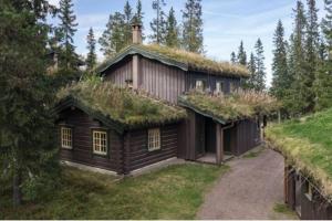 a house with a grass roof on top of it at Aktiv familjesemester i Lindvallen. MTB, downhill, vandring, sommarskidåkning & bad. 30:e juni till 6:e juli in Sälen
