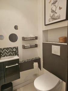 une salle de bains avec toilettes et lavabo dans l'établissement La Bretèche, Gîte au cœur des châteaux de La Loire, à Saint-Martin-le-Beau 25 autres photos