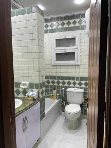 een badkamer met een toilet en een wastafel bij Urban Elegance @ Maadino6 in Caïro