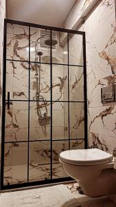 La salle de bains est pourvue d'une douche en verre et de toilettes. dans l'établissement CEMRE SUIT, à Istanbul