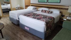 巴西利亚Lets Idea Hotel Flat Particular的有两张床和一把椅子的酒店房间