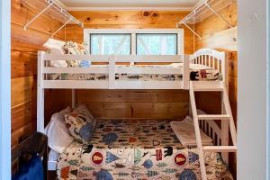 - une chambre avec 2 lits superposés dans une cabine dans l'établissement Bear Feet Retreat, à Banner Elk