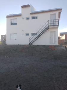 a black and white dog sitting in front of a building at departamento equipado Pioneros in Zapala