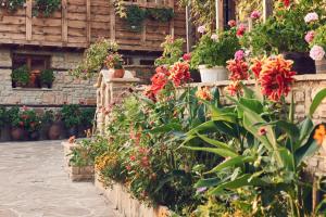 Gallery image of Yovina House Zheravna in Zheravna