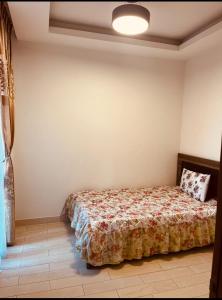 um quarto com uma cama num quarto em Al Sam Apartment Mixico sq em Addis Ababa