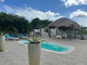Bassein majutusasutuses Hofi Paradise Resort või selle lähedal