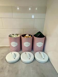 un grupo de tres cubos de basura y platos en un mostrador en Comfort and Style !, en Addington