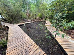 a wooden walkway in a garden with trees at Panigal in Hornopiren