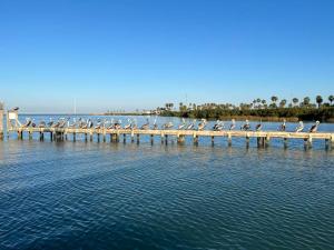 a group of birds sitting on a dock in the water at Beachview Get-AWAY @ Fantasy Circle in South Padre Island
