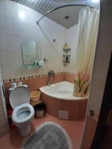 a bathroom with a toilet and a bath tub at Apartment for guests in the centre of Tashkent city in Tashkent