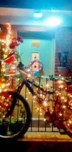 Una bicicleta estacionada junto a un árbol de Navidad con luces en Marina,Families are welcome en East Cowes