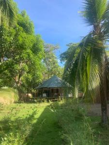 a house with a palm tree in front of it at Two bedroom tent on the beach private plunge pool in Matapalo