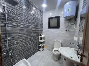 łazienka z toaletą, umywalką i telewizorem w obiekcie Exquisite Maadino w Kairze