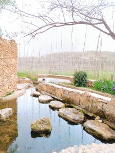 un jardin avec un étang avec des rochers et un mur en pierre dans l'établissement Casa Cueva The Exclusive Royal Andalusian Cave, à Alcudia de Guadix