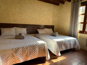 um quarto com 2 camas e uma janela em Casa Los Héroes em Antigua Guatemala