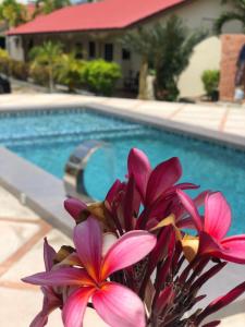 a bouquet of pink flowers sitting next to a swimming pool at Dhania Cenang Beach Motel in Pantai Cenang