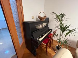 Fotografia z galérie ubytovania Apartment Tina v destinácii Rijeka