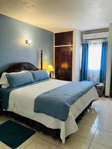 a bedroom with a large bed and a window at Worthington Towers Apartment in Kingston