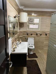 カイロにあるشقة فندقية على النيل مباشر بالمعادى ٣ غرف ٣ حمامのバスルーム(白い洗面台、トイレ付)