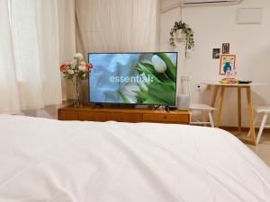 TV a/nebo společenská místnost v ubytování Easy access to Metro