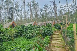 un giardino con alberi, recinzione e sentiero di Cigadog Residence Mitra Reddoorz a Ciwidey