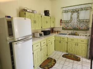 La cuisine est équipée de placards verts et d'un réfrigérateur blanc. dans l'établissement Sun Lover's Apartments, à The Lime