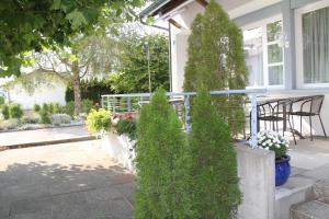 Zahrada ubytování Hotel Linde