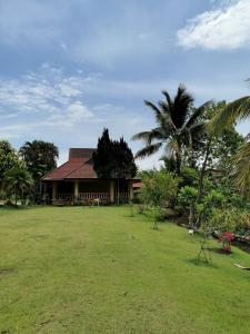 a house with a large yard with a palm tree at Wichouda Cottage in Chiang Dao