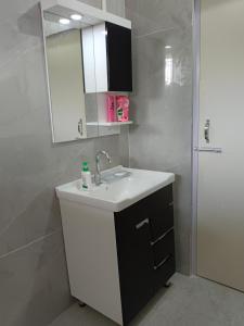 a bathroom with a sink and a mirror and a shower at Tsering's Homestay Oyan in Pāsighāt