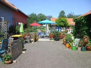 um pátio com um monte de plantas e guarda-sóis em Ferienwohnung für vier Personen - b56817 em Dachrieden