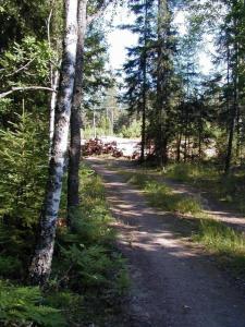 un camino de tierra a través de un bosque con árboles en Idyllisches Bauernhaus in Småland, en Kättilstorp