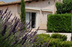 un giardino con fiori viola di fronte a una casa di Maison d'hotes ad Aramon