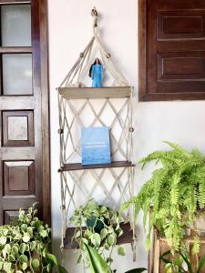 a shelf in a room with plants and a door at Odoyá Casa Hostel in Arraial d'Ajuda