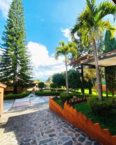 um pátio com palmeiras e um passeio em Casa estilo Campirano Jardín de los Soles em Taxco de Alarcón